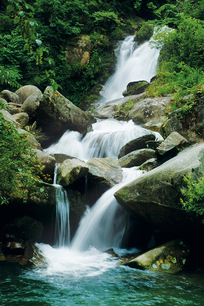 福寿山森林公园