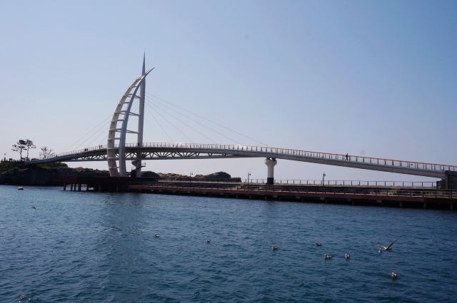 小小佑佑,小小济州