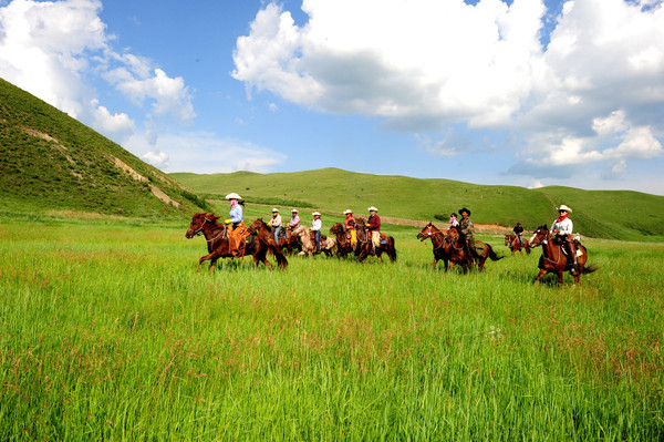 呼伦贝尔无垠绿土胡马长嘶让人难以抽离的梦境 - 呼