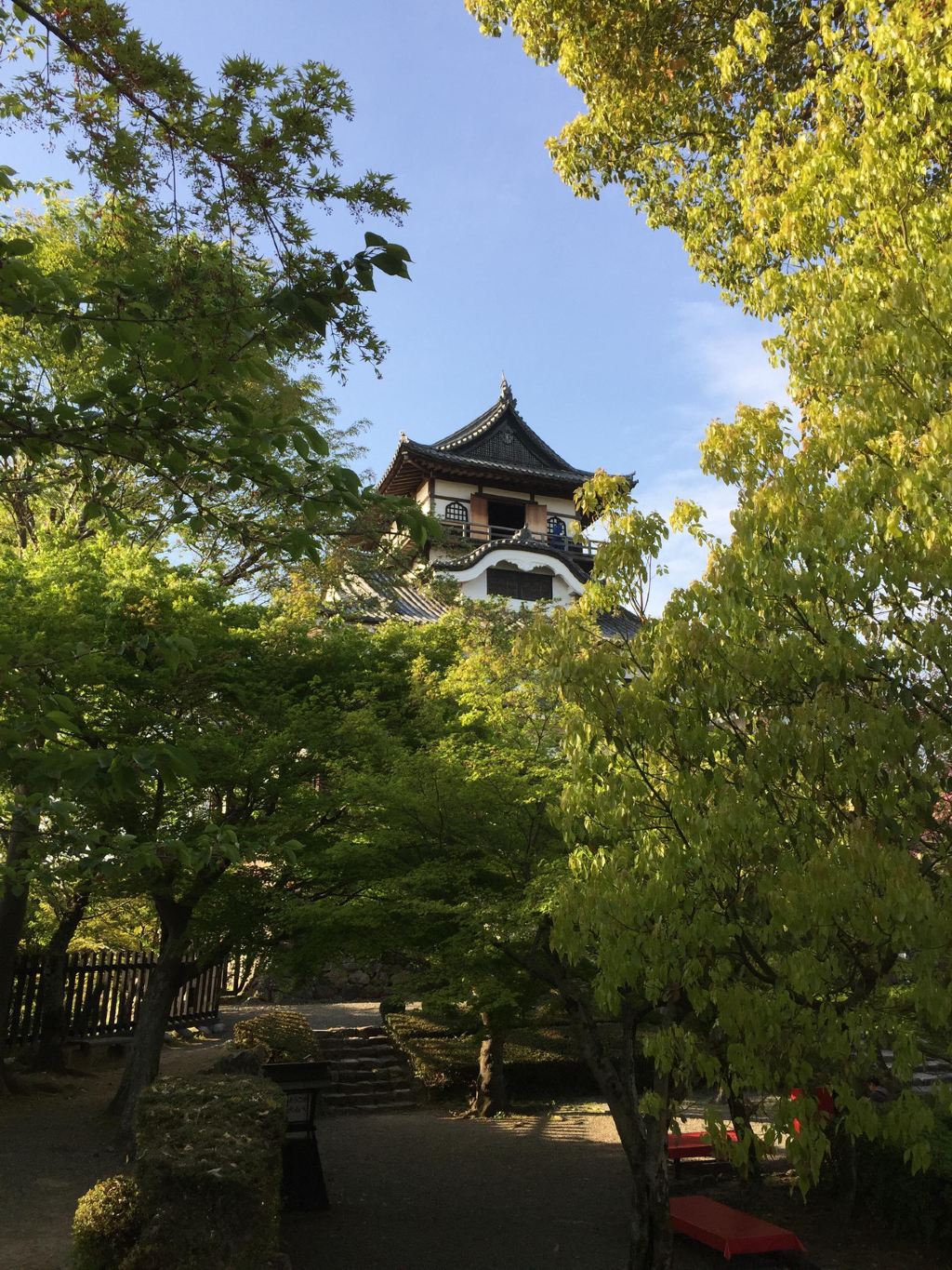 自駕遊世界之日本中部名古屋-下呂-高山-上高地-松本-富士山 5日櫻花