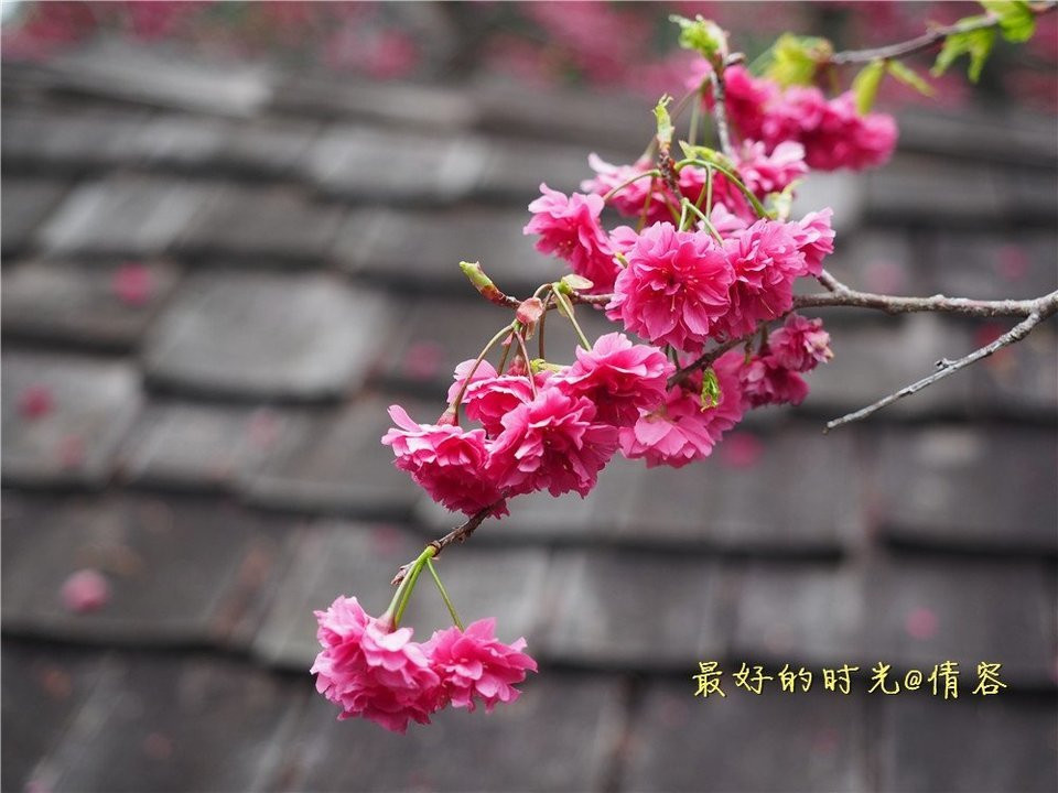 台湾 我前世的故乡 台湾游记攻略 携程攻略