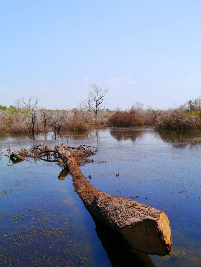 柬埔寨—阔步天堂炼狱,活在人神之间