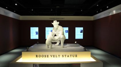 【亲子游特惠,与宝贝开启泰迪熊的世界】入住