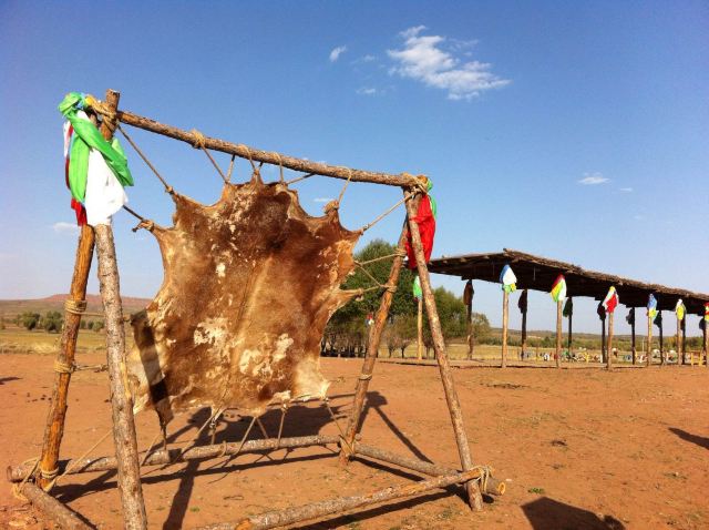 不要错认为是烤羊肉哦,是晒羊皮 苏泊罕草原