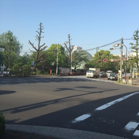 九州,鹿儿岛旅行