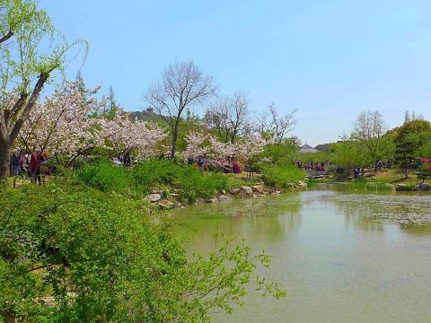 梅园横山