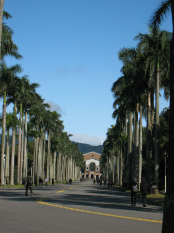 椰林大道 国立台湾大学