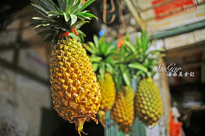 乘坐椰香公主号玩转西沙群岛(全富岛,鸭公岛,银