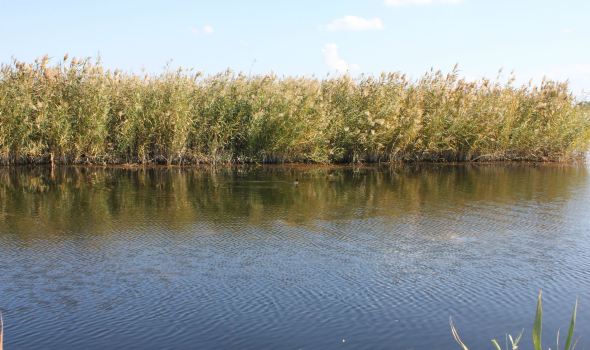 乌拉特前旗旅游怎么样_乌拉特前旗哪里好玩_