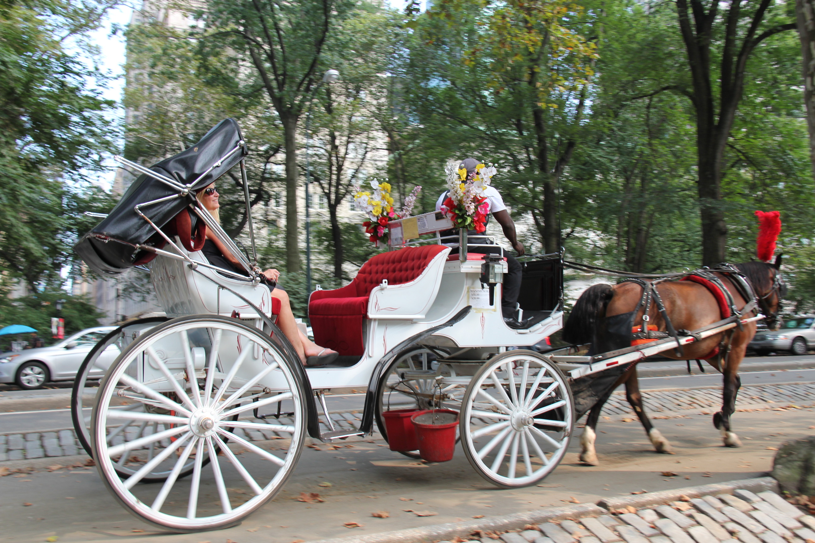 也是世界各地游客喜爱的地方,公园内可以坐马车观光,还有彩装巡游