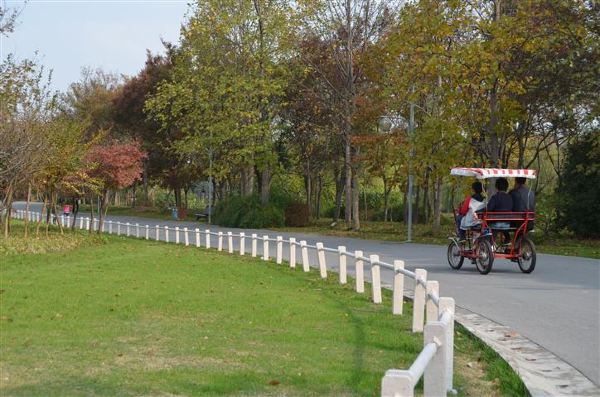 2013年11月23日,上海浦東(世紀公園,世博園,後灘溼地公園)