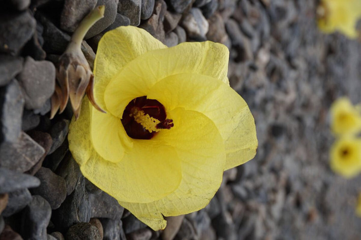台湾我来也-那一大片让人沉醉的海!