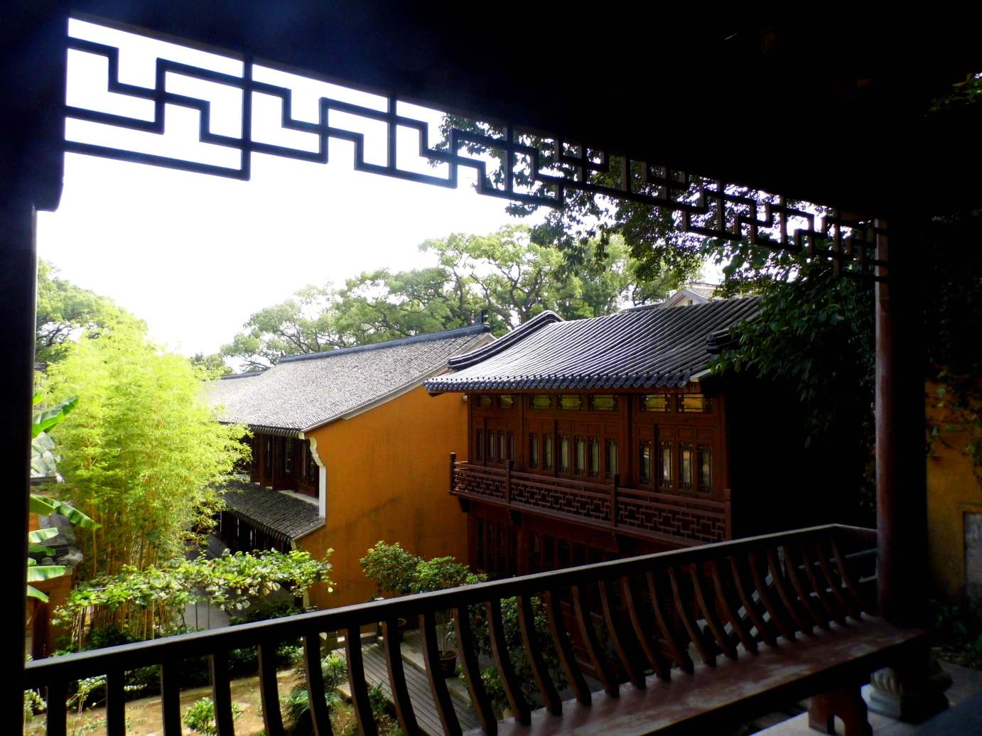 塔影荷风普陀山