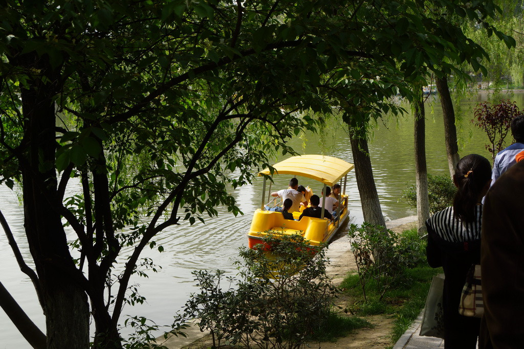 兴庆宫公园游记(2)