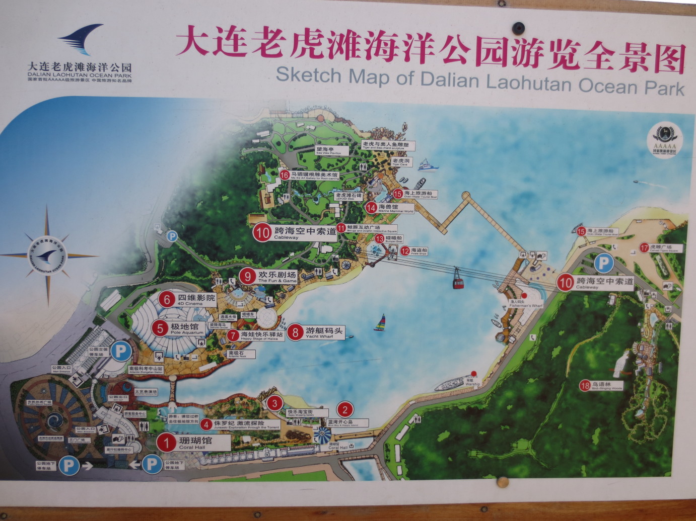 就是像在偷偷摸摸做坏事,这样过了好久好久,我们才顺利进入到海洋公园