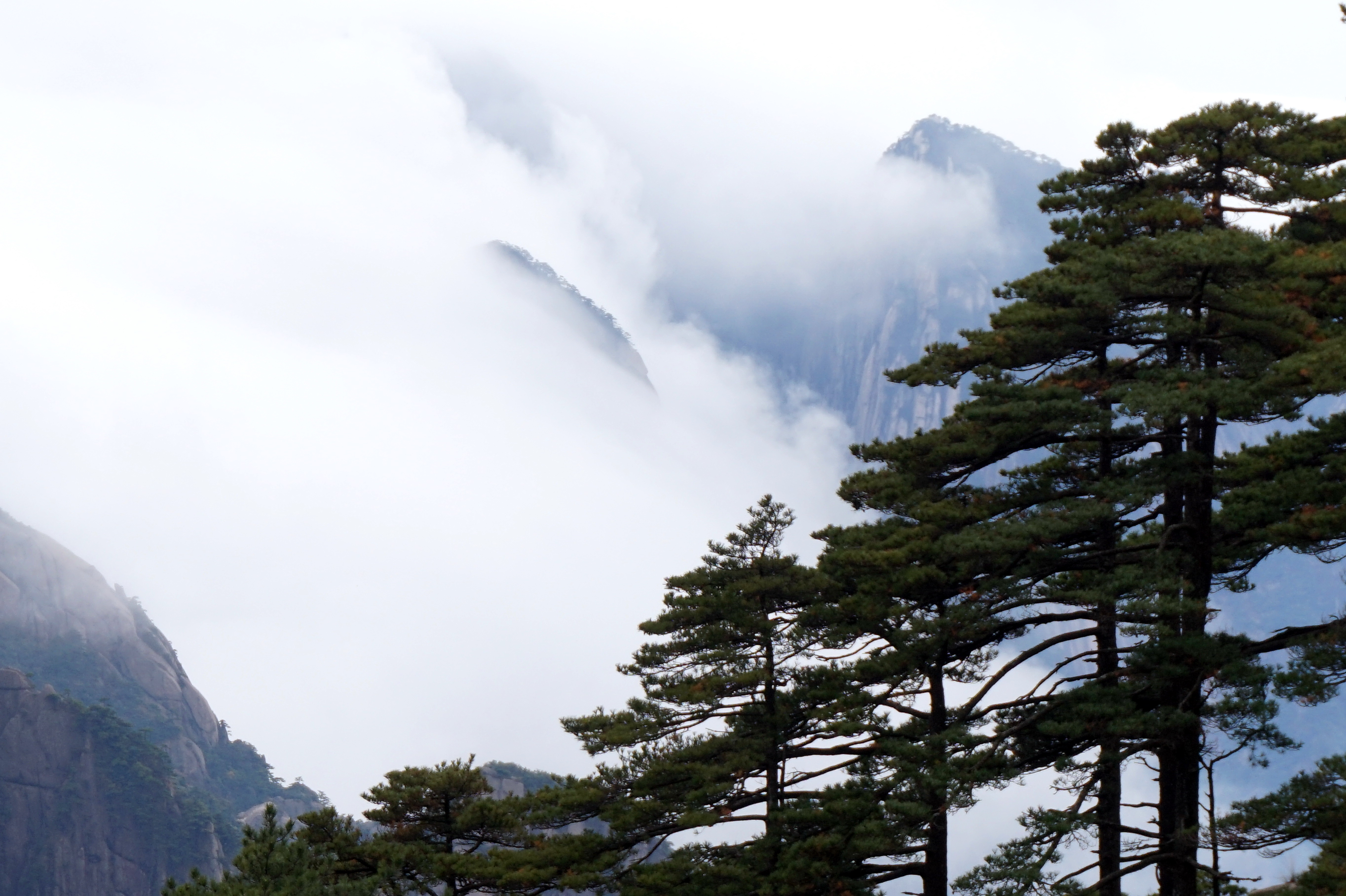 黄山云海