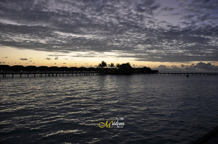 马尔代夫阿雅达岛7日奢华蜜月行,海滩、浮潜以