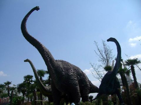 其实就是一个类似于欢乐谷的游乐场,不错!