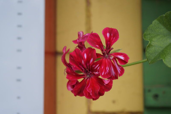 台湾我来也-那一大片让人沉醉的海!