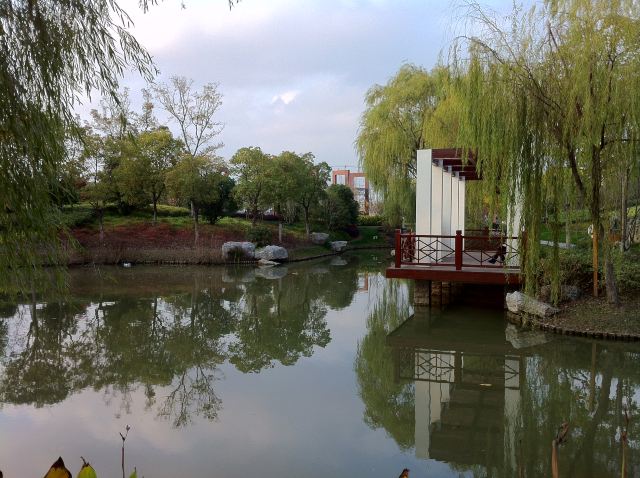 你很可能忽略的上海陈行公园