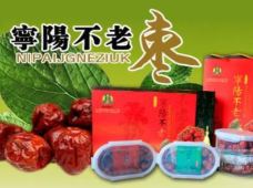泰山宁阳不老枣专卖店图片