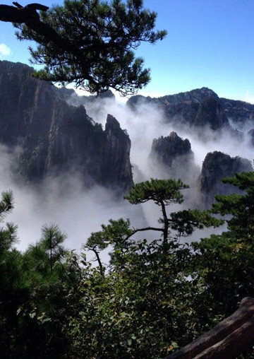 图游黄山 大美黄山 海量照片第二批照片供大家欣赏