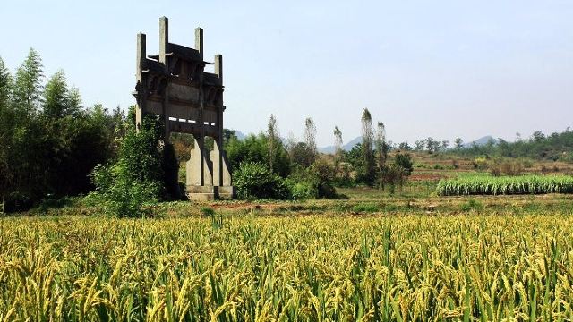 稠墅四牌坊门票,歙县稠墅四牌坊攻略/地址/图片/门票价格【携程攻略】