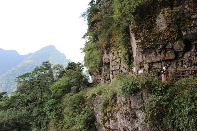 耳聞廣西金秀的聖堂山,山峰巍峨林立,海拔均在1600米以上,主峰