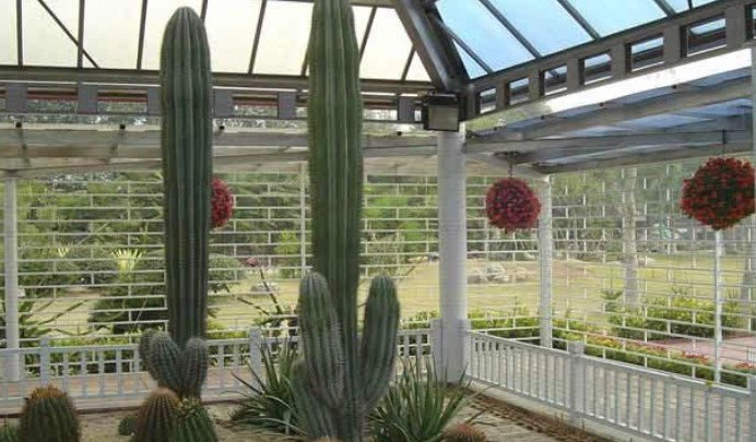 沙漠植物风情园
