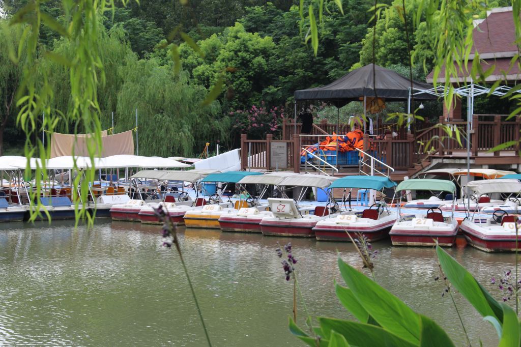 看不到櫻花的季節----攜程員工顧村公園bbq