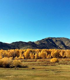 旅游游记,游记攻略,精品\/热门\/最新游记推荐