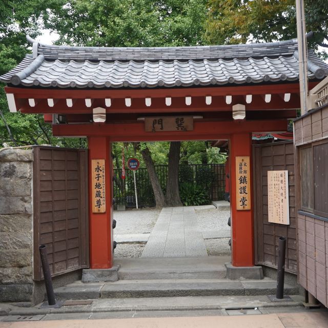 霓虹国看图说话游记