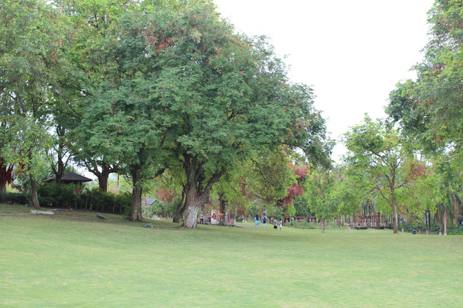 三亚南山+天涯海角一日游,服务、安排、内容、