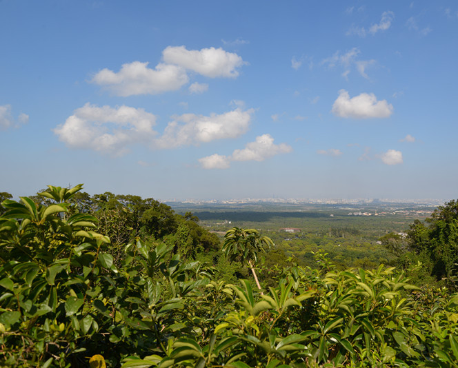 我的城市綠樹成蔭 ——中國雷瓊海口火山群世界地質公園