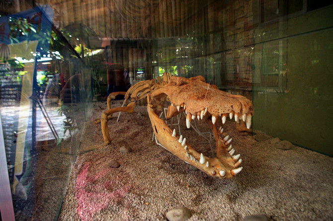 长滩岛、达沃、萨马尔岛15日小资海岛自由行