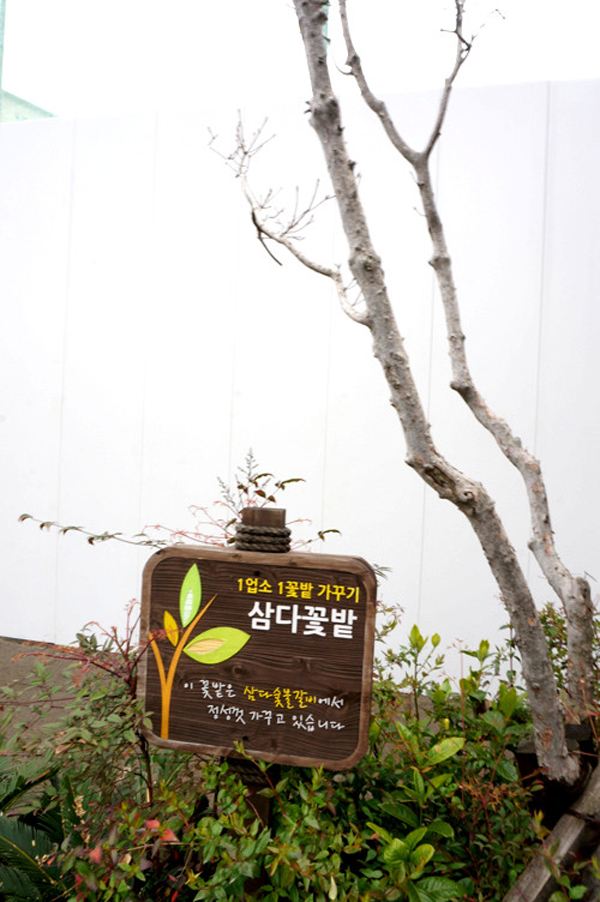 【ayu爱旅行】韩国济州岛自然纯净之旅,品最地