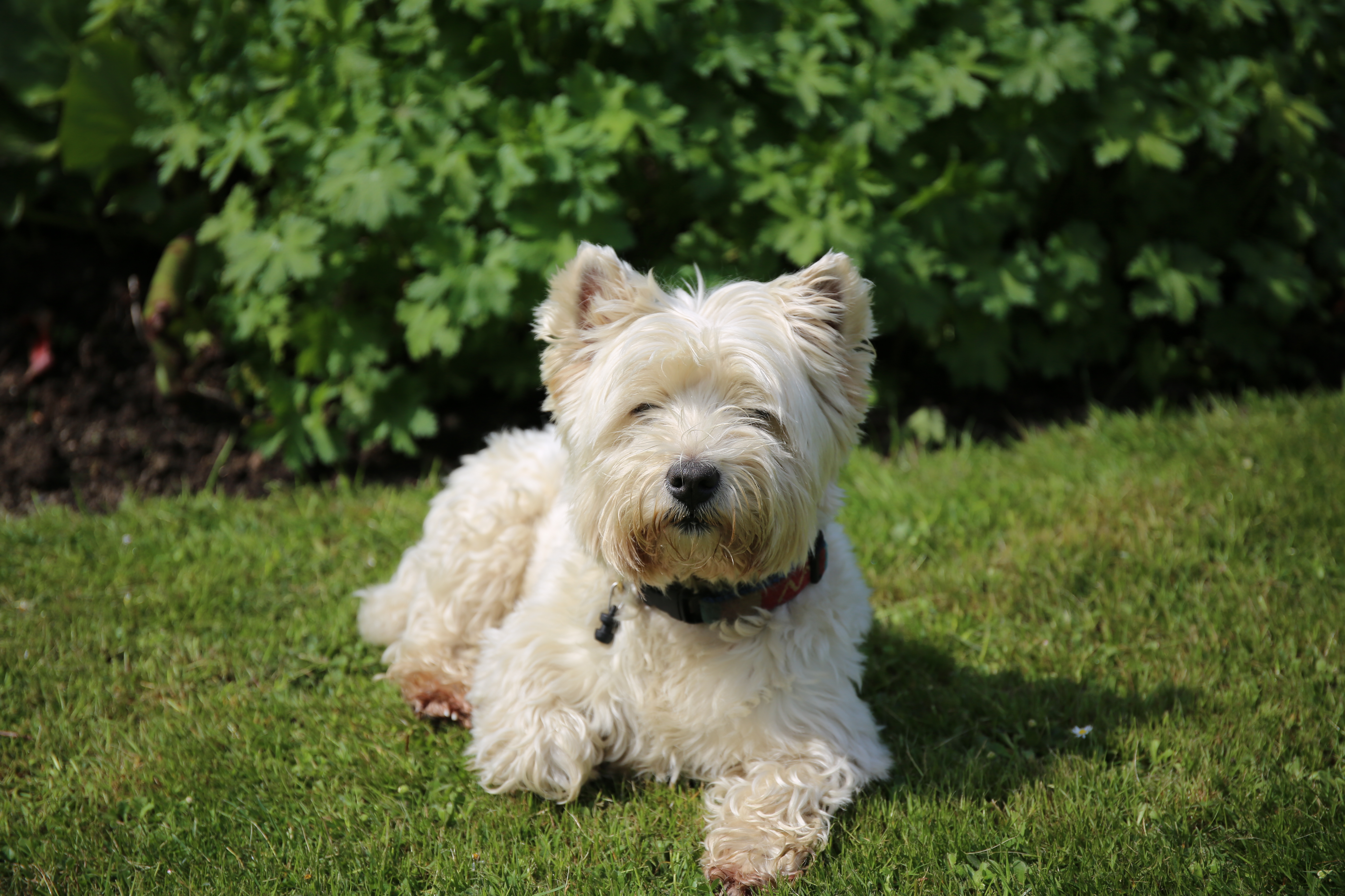 最美小镇图片集--英格兰系列