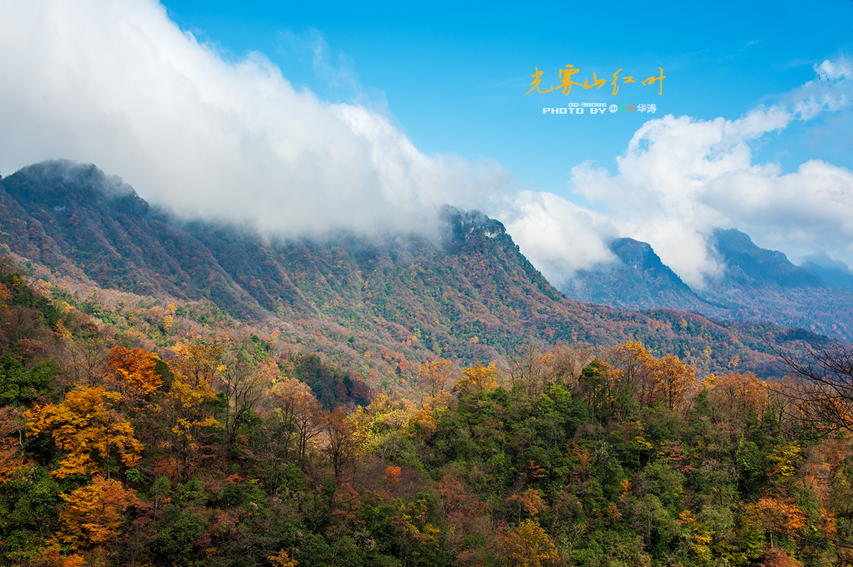 光雾山风景区旅游攻略(汉中光雾山风景区旅游攻略)