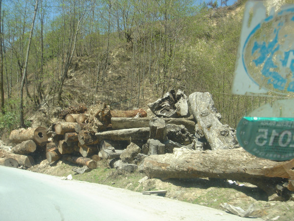 片马是一个边陲小镇,其西,南,北三面与缅甸克钦邦