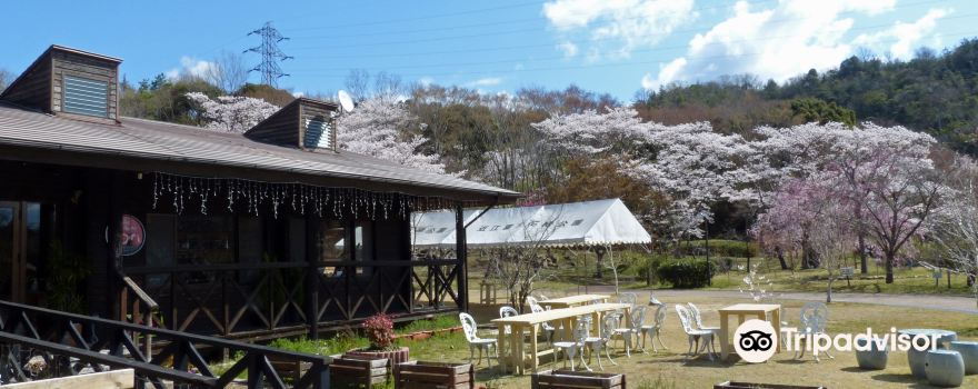 野洲市旅游攻略 4月野洲市 Yasu 自助游 周边自驾 出游 自由行 游玩攻略 携程攻略